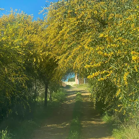 펜션 Historic Sheepfold With View In